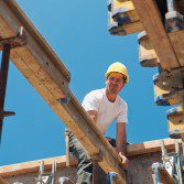 Sed blandit massa vel